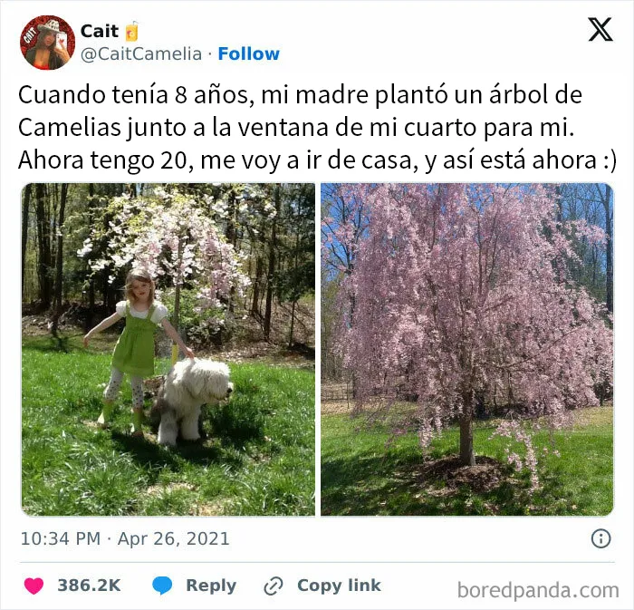 20 Publicaciones reconfortantes para recordarnos que no todo es malo en el mundo