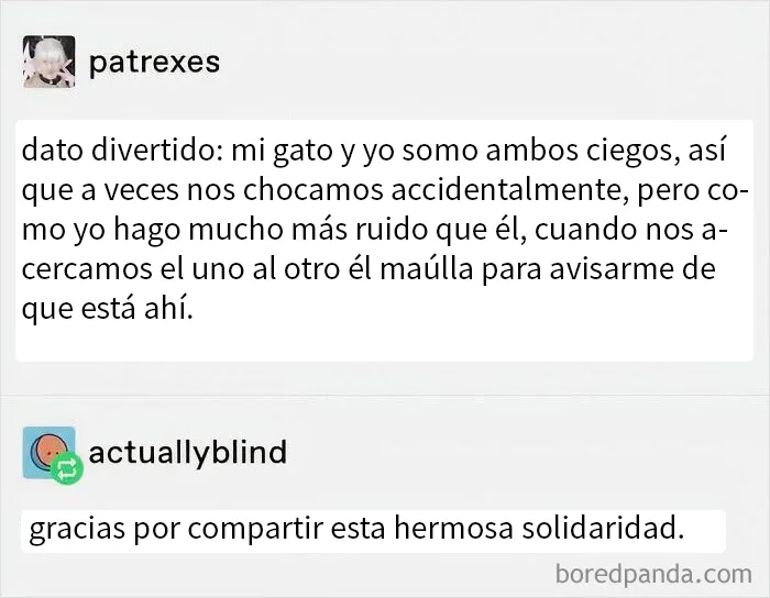 20 Publicaciones reconfortantes para recordarnos que no todo es malo en el mundo