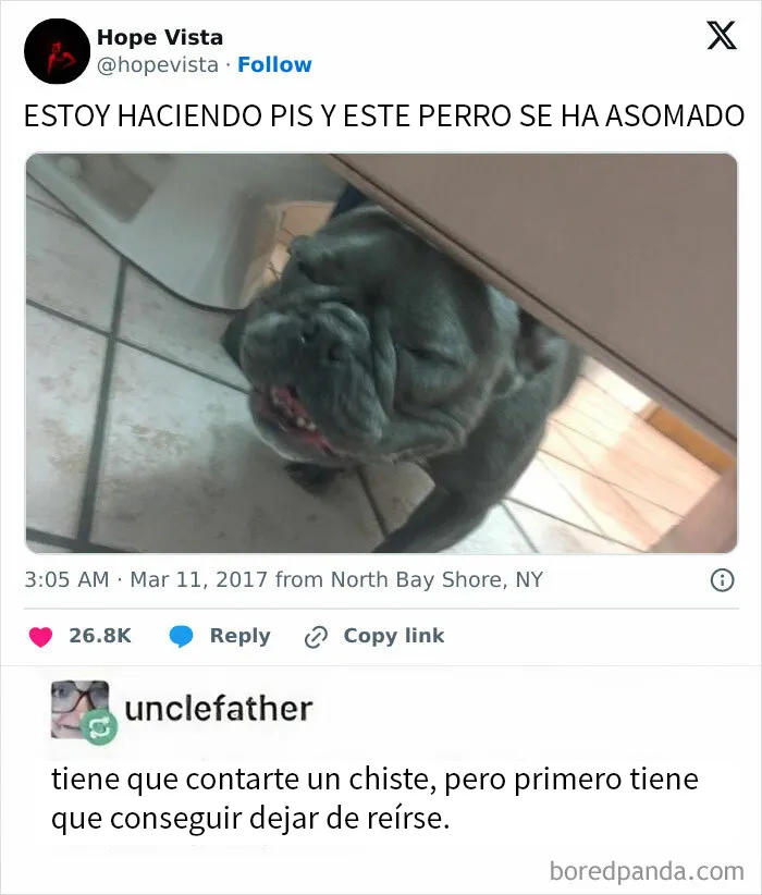 20 Publicaciones reconfortantes para recordarnos que no todo es malo en el mundo