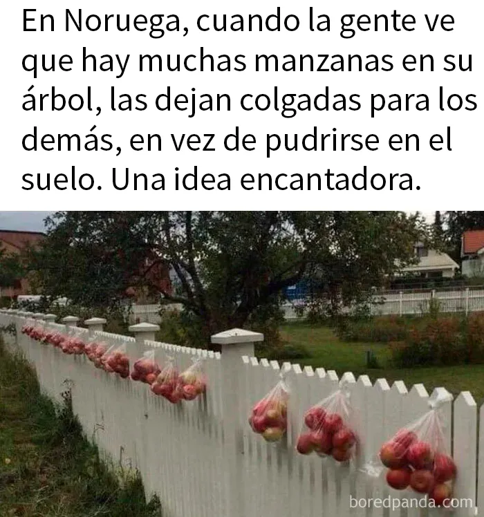 20 Publicaciones reconfortantes para recordarnos que no todo es malo en el mundo