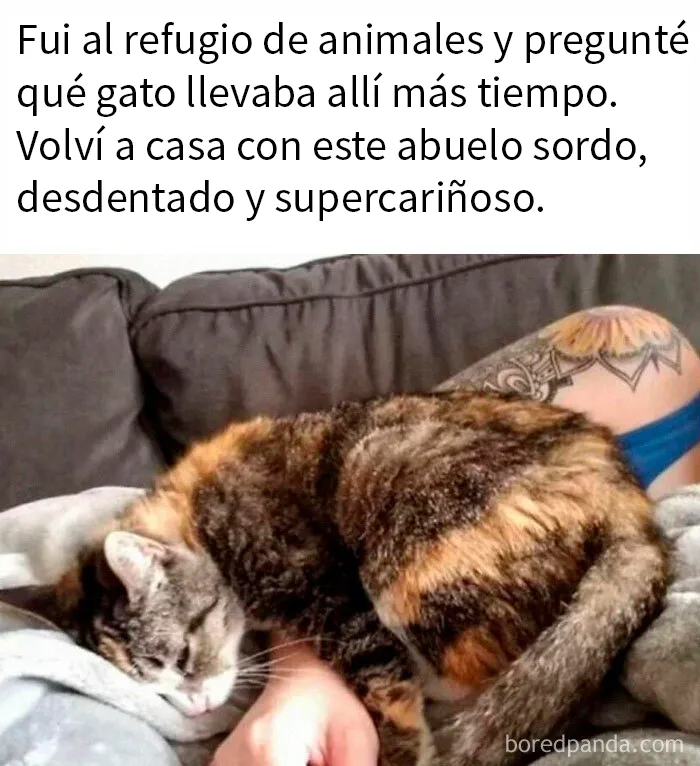 20 Publicaciones reconfortantes para recordarnos que no todo es malo en el mundo