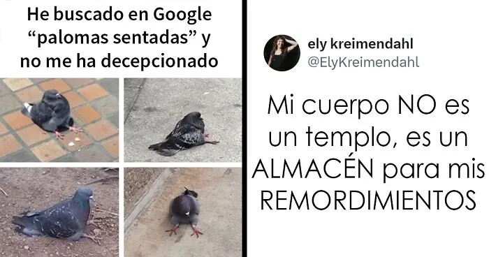 20 Memes divertidos y ocurrentes creados por "Tank Sinatra"