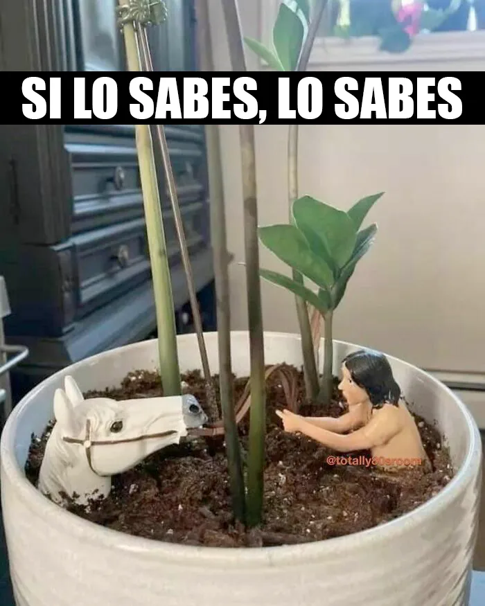 20 Divertidos memes ochenteros que entenderá bien la gente Millennial y de la Generación X
