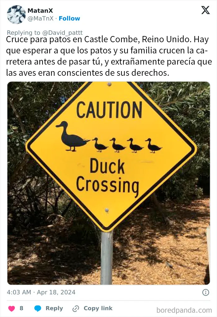 15 Personas que no estaban preparadas para los choques culturales que vivieron en sus viajes