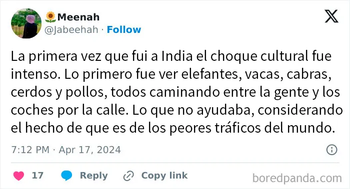 15 Personas que no estaban preparadas para los choques culturales que vivieron en sus viajes