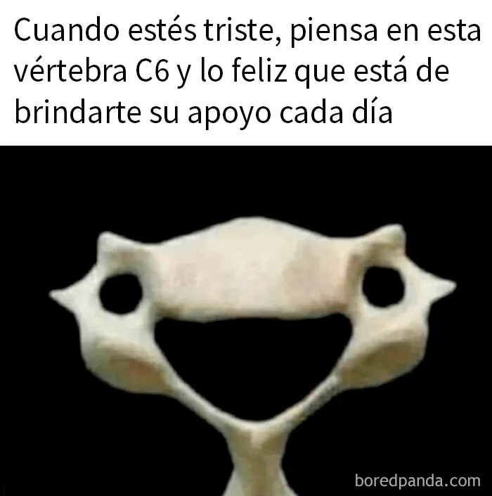 20 Memes divertidos e ingeniosos para los amantes de la ciencia