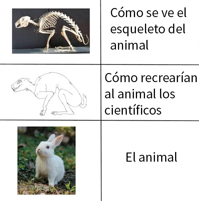 20 Memes divertidos e ingeniosos para los amantes de la ciencia