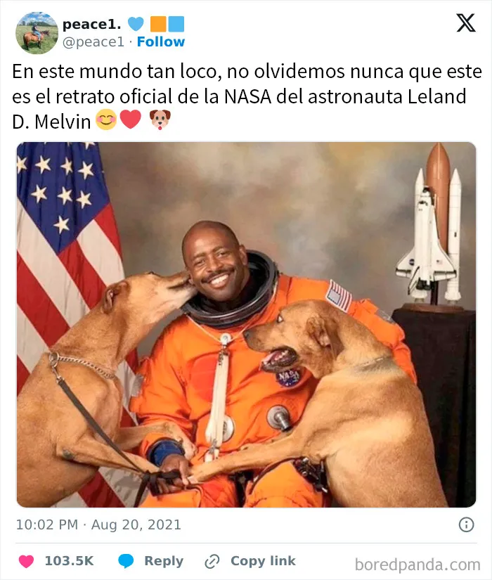 20 Publicaciones reconfortantes para recuperar tu fe en la humanidad