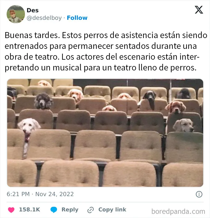 20 Publicaciones reconfortantes para recuperar tu fe en la humanidad