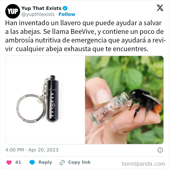20 Publicaciones reconfortantes para recuperar tu fe en la humanidad