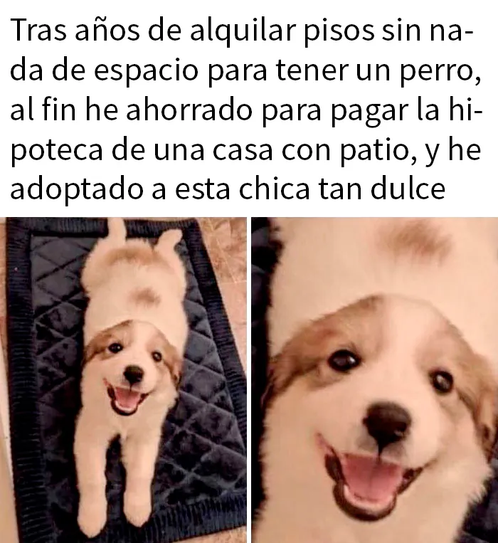 20 Publicaciones reconfortantes para recuperar tu fe en la humanidad