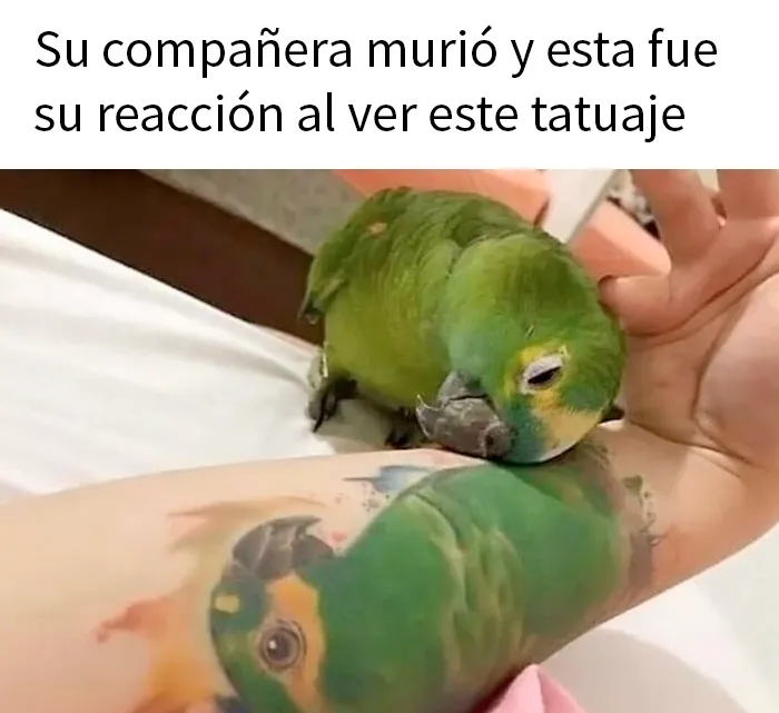 20 Publicaciones reconfortantes para recuperar tu fe en la humanidad