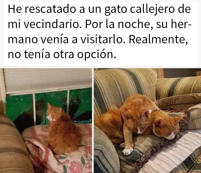 20 Publicaciones reconfortantes para recuperar tu fe en la humanidad