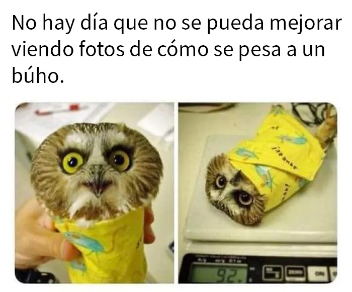 20 Publicaciones reconfortantes para recuperar tu fe en la humanidad