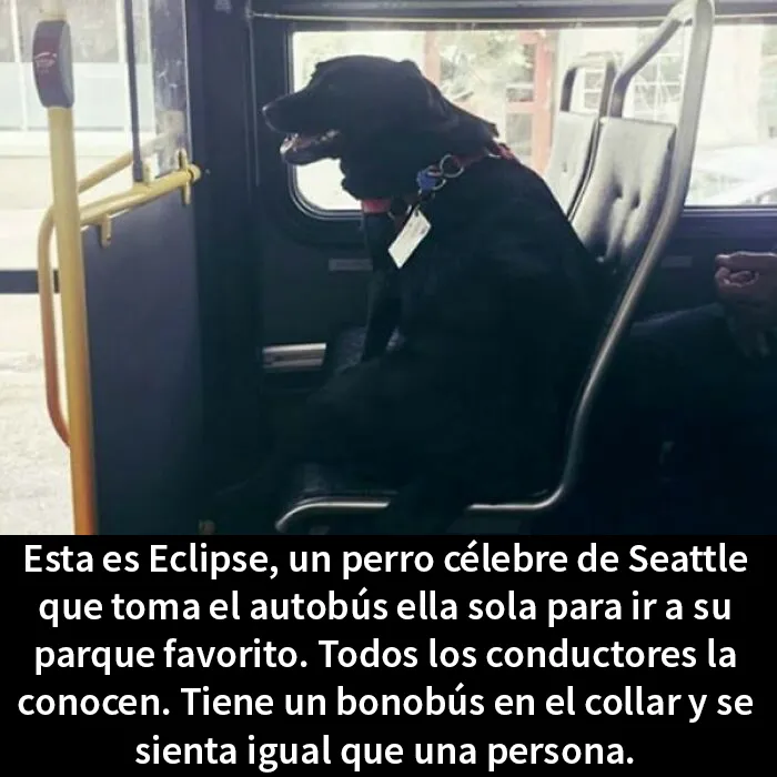 20 Publicaciones reconfortantes para recuperar tu fe en la humanidad