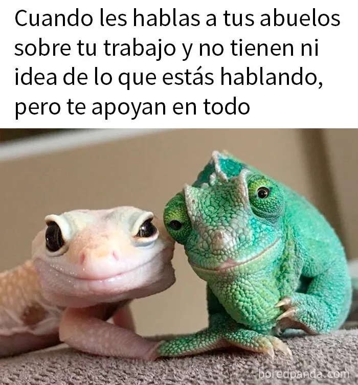 20 Divertidos memes compartidos por esta página con 9,6 millones de seguidores