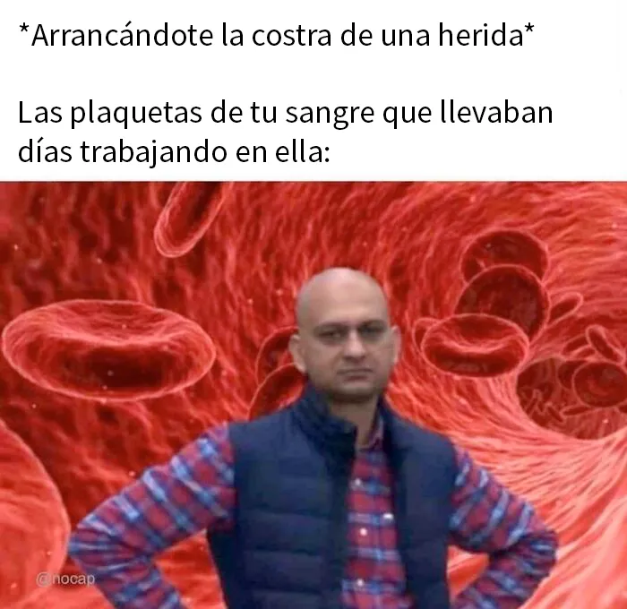 20 Divertidos memes de esta cuenta de instagram que avivará tu última neurona