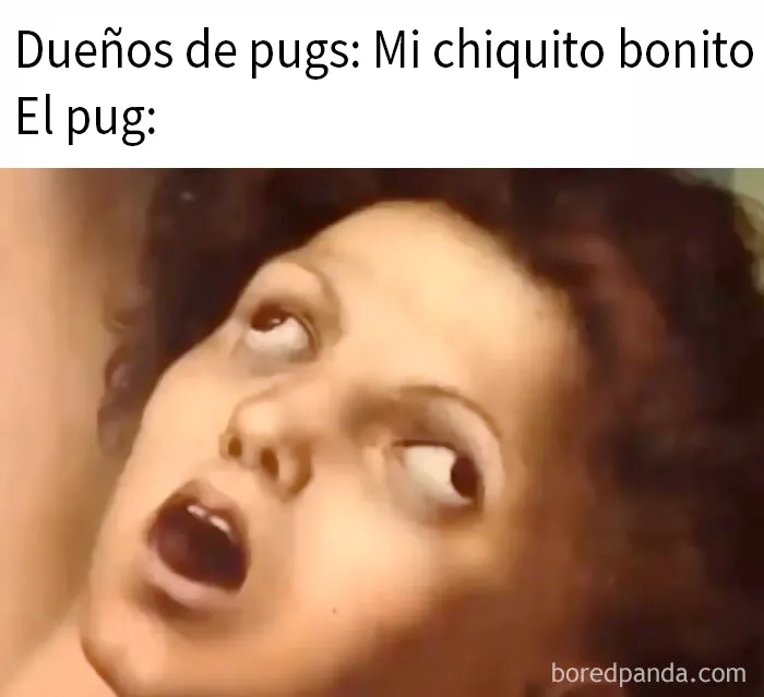 20 Divertidos memes de esta cuenta de instagram que avivará tu última neurona