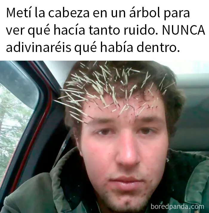 20 Divertidos memes de esta cuenta de instagram que avivará tu última neurona