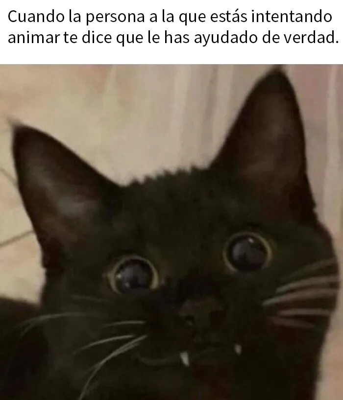 20 Publicaciones para alegrarte un poco el día