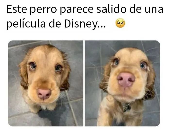 20 Publicaciones para alegrarte un poco el día