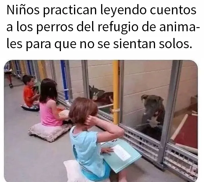 20 Publicaciones para alegrarte un poco el día