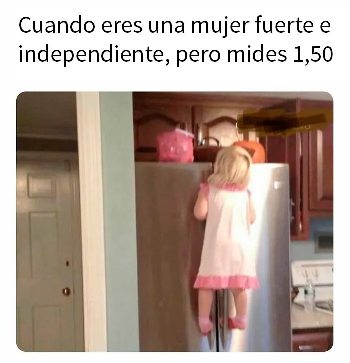 20 Divertidos memes que te atacan personalmente