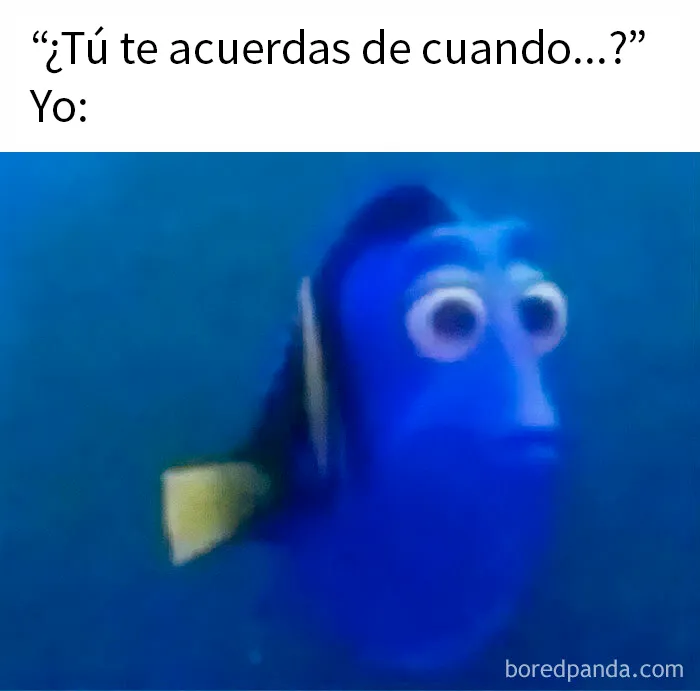 20 Divertidos memes que te atacan personalmente
