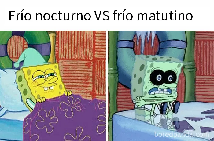 20 Divertidos memes que te atacan personalmente
