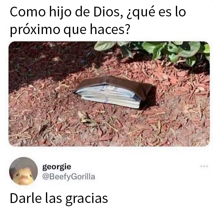 20 Divertidos memes que te atacan personalmente