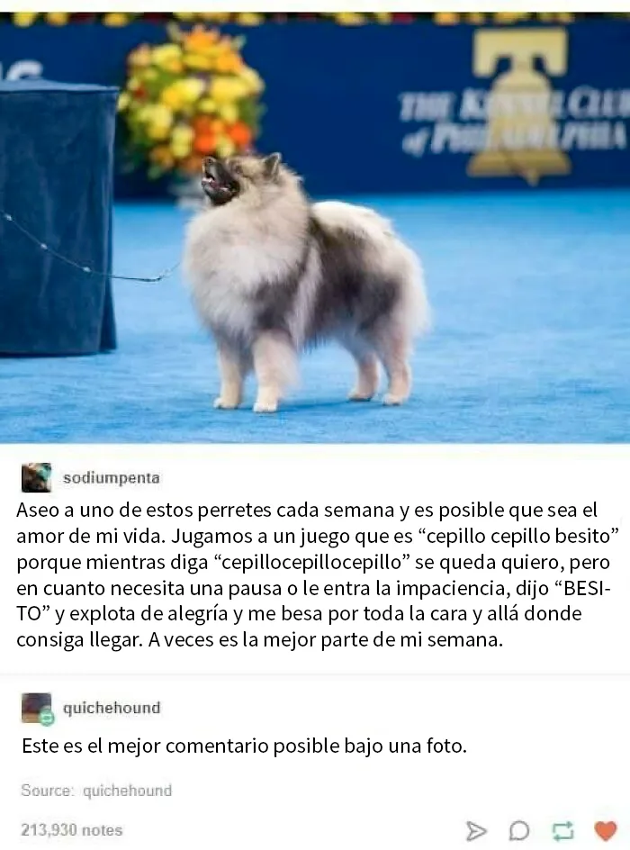 Cepillo cepillo besito