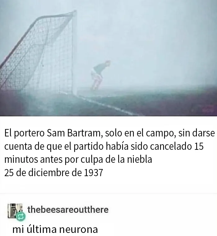 Ciertamente