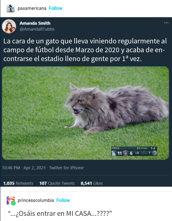 Okupas todos