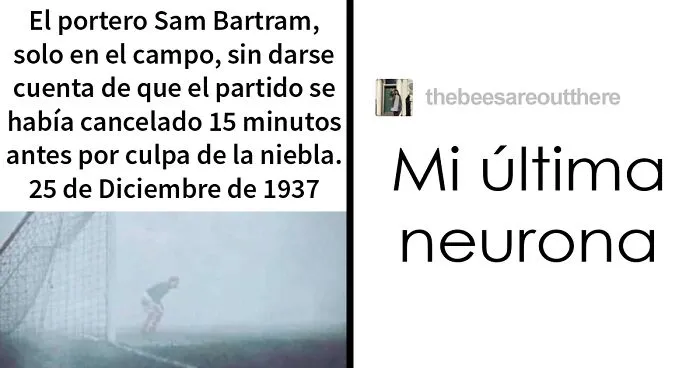 18 de las mejores publicaciones compartidas en Tumblr