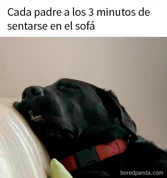 20 Memes divertidos y ocurrentes creados por "Tank Sinatra"