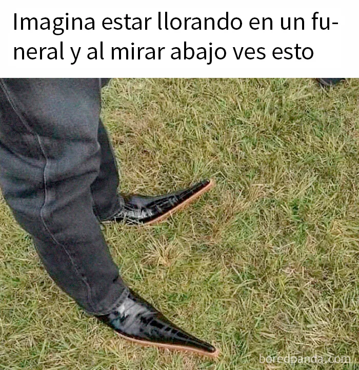 20 Memes divertidos y ocurrentes creados por "Tank Sinatra"