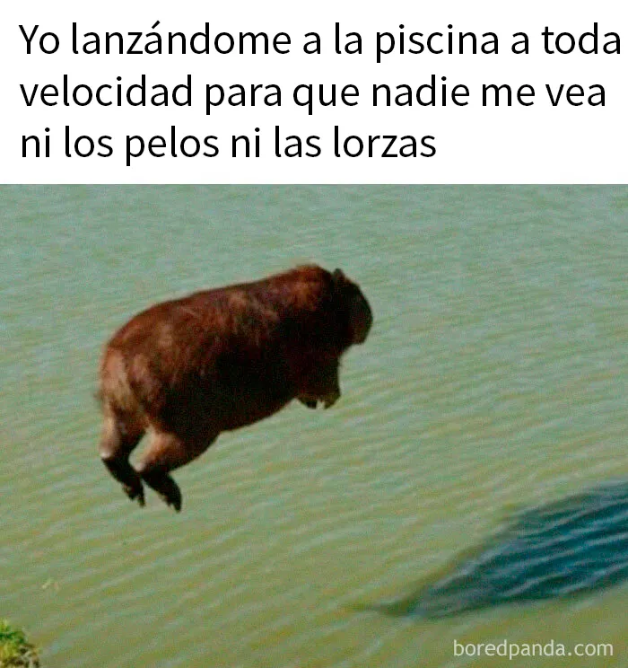 20 Memes divertidos y ocurrentes creados por "Tank Sinatra"