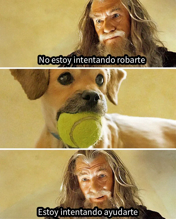 20 Memes divertidos y ocurrentes creados por "Tank Sinatra"