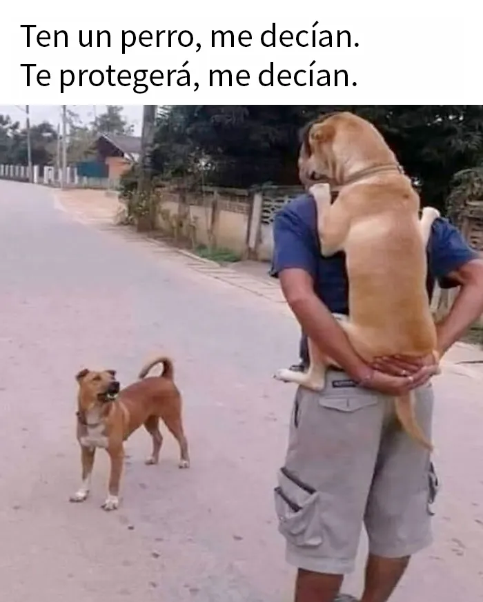 20 Divertidos memes para alegrarte el día