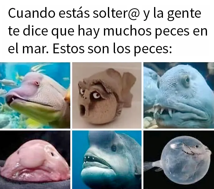 20 Divertidos memes para alegrarte el día