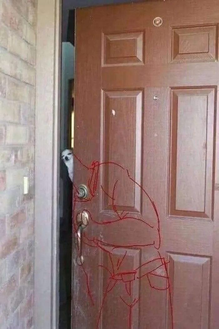 20 Divertidos memes para alegrarte el día