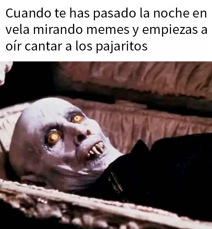 20 Divertidos memes para alegrarte el día