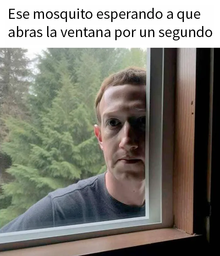 20 Divertidos memes para alegrarte el día