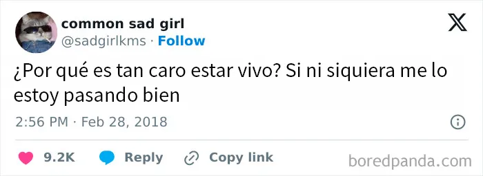 20 Divertidos memes para alegrarte el día