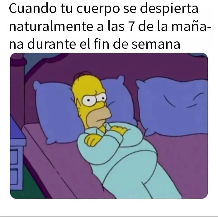 20 Divertidos memes para alegrarte el día