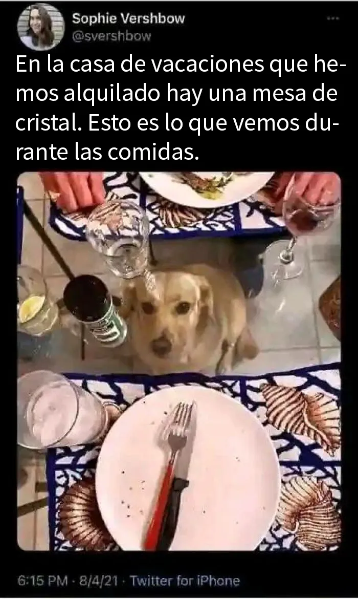 20 Divertidos memes para alegrarte el día