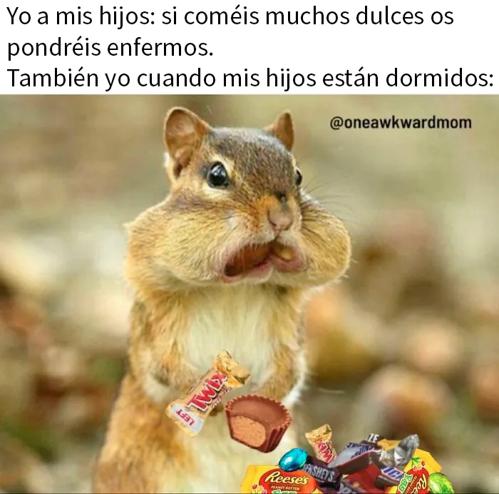 20 Divertidos memes sobre madres con los que te reirás tanto que quizá despiertes a tus hijos