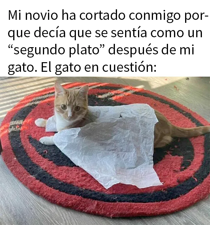 20 Divertidos y reconfortantes memes de animales para alegrarte el día