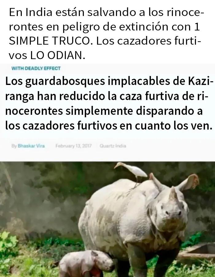 Muy efectivo