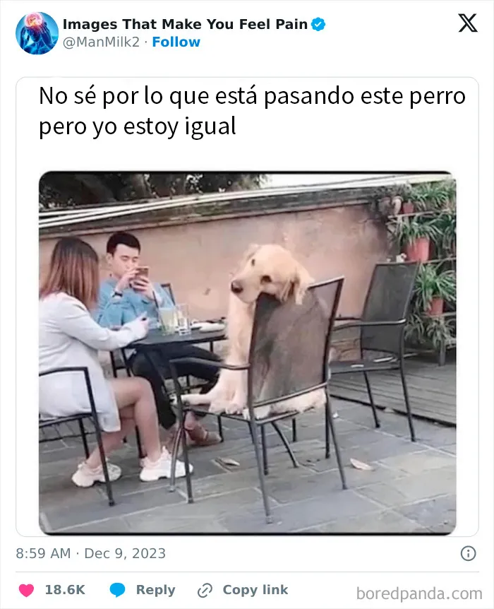 20 Imágenes dolorosas que te quitarán las ganas de seguir mirando internet por hoy